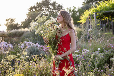 Blond young woman in red dress holding flower bouquet in field - EIF01862