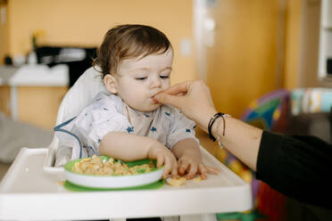 Mutter füttert kleinen Jungen zu Hause - GMCF00239