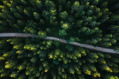 Luftaufnahme eines silbernen Fahrzeugs, das durch einen wilden Waldweg auf dem Lande fährt, aufgenommen in Litauen. - AAEF12731