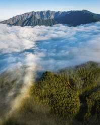 Luftaufnahme Wolken zwischen Bergen und Wald auf der Insel La Palma, Kanarische Inseln, Spanien. - AAEF12792