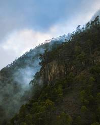 Luftaufnahme einer vulkanischen Naturlandschaft im Nationalpark Caldera de Taburiente in der Nähe von El Paso, Insel La Palma, Kanarische Inseln, Spanien. - AAEF12794