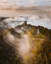 Luftaufnahme eines buddhistischen Tempels auf einer Hügelkuppe an einem nebligen Tag bei Sonnenuntergang, China. - AAEF13100