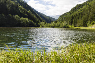 Shore of Gruner See lake in summer - AIF00733