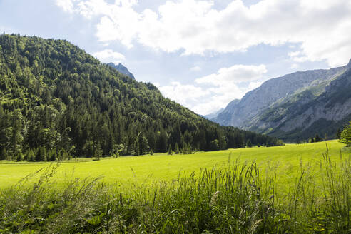 Bewaldetes Tal im Hochschwabgebirge im Sommer - AIF00734