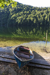 Rowboat left on shore of Lake Toplitz in summer - AIF00735