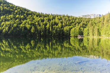 Lake Toplitz reflecting surrounding forest in summer - AIF00736