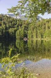 Lake Toplitz reflecting surrounding forest in summer - AIF00738