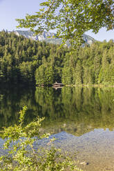 Toplitzsee mit Spiegelung des umliegenden Waldes im Sommer - AIF00738