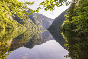 Bewaldetes Tal, das sich auf der glänzenden Oberfläche des Toplitzsees im Sommer spiegelt - AIF00743