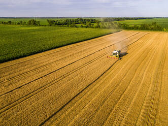 Drone view of combine harvester in wheat field - NOF00324