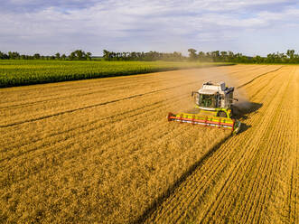 Drone view of combine harvester in wheat field - NOF00325