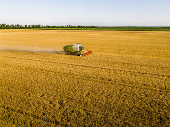Drone view of combine harvester in wheat field - NOF00326