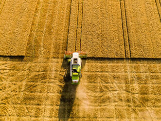 Drone view of combine harvester in wheat field - NOF00327