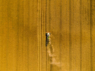 Drone view of combine harvester in wheat field - NOF00328