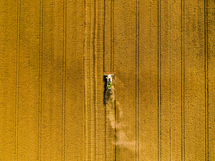 Drohnenansicht eines Mähdreschers in einem Weizenfeld - NOF00328