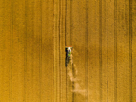 Drone view of combine harvester in wheat field - NOF00328