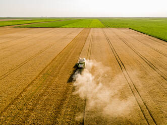 Drone view of combine harvester in wheat field - NOF00329