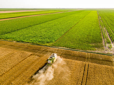 Drone view of combine harvester in wheat field - NOF00330