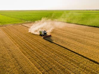 Drone view of combine harvester in wheat field - NOF00331