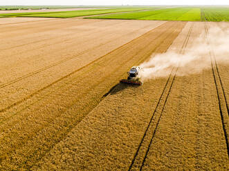 Drone view of combine harvester in wheat field - NOF00333