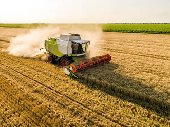 Drone view of combine harvester in wheat field - NOF00334