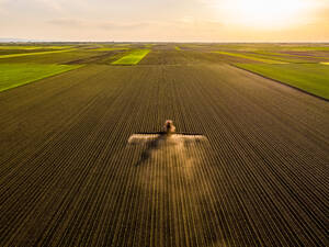 Luftaufnahme eines Traktors beim Sprühen von Sojabohnen bei Sonnenuntergang - NOF00339