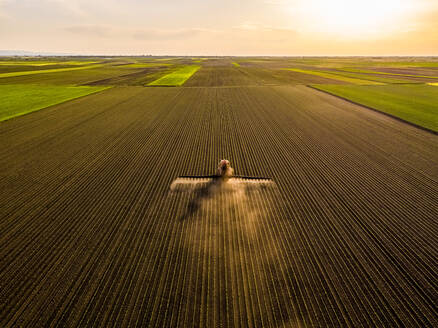 Luftaufnahme eines Traktors beim Sprühen von Sojabohnen bei Sonnenuntergang - NOF00339