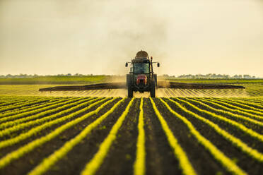 Traktor beim Sprühen von Sojabohnen in der Abenddämmerung - NOF00341