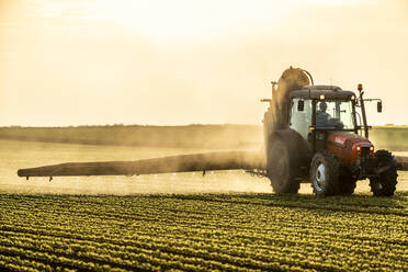 Traktor beim Besprühen von Sojabohnenkulturen bei Sonnenuntergang - NOF00342