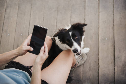Mittlere erwachsene Frau, die mit ihrem Smartphone Textnachrichten verschickt, während sie mit ihrem Hund sitzt - EBBF04487