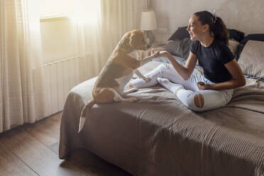 Glückliches Mädchen beim Händeschütteln mit Beagle im Schlafzimmer - EGHF00162