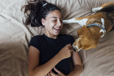 Happy girl playing with Beagle while lying on bed at home - EGHF00166