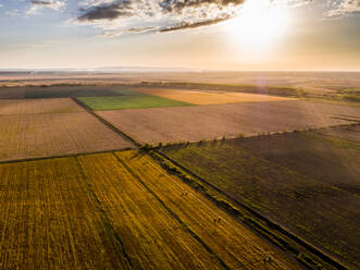 Landwirtschaftliche Felder bei Sonnenuntergang, Vojvodina, Serbien - NOF00347