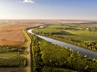 Fluss in der Nähe eines landwirtschaftlichen Feldes, Vojvodina, Serbien - NOF00349