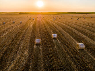 Aerial view of hay bales lying in plowed field at sunset - NOF00354