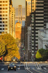 Blick von der California Street auf die Oakland Bay Bridge, San Francisco, Kalifornien, Vereinigte Staaten von Amerika, Nord-Amerika - RHPLF20641