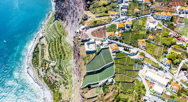 Terrassenförmige grüne Felder am türkisfarbenen Meer von oben, Camara de Lobos, Insel Madeira, Portugal, Atlantik, Europa - RHPLF20649