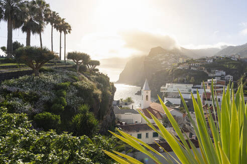 Sonnenuntergang über den weißen Gebäuden von Camara de Lobos, eingerahmt von Pflanzen, Insel Madeira, Portugal, Atlantik, Europa - RHPLF20660