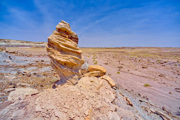 A hoodoo formation called Medusa's Child, below the cliffs of Agate Plateau in Petrified Forest National Park, Arizona, United States of America, North America - RHPLF20720