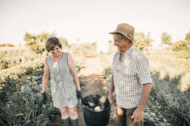 Smiling senior couple holding vegetable basket at farm - GRCF00821