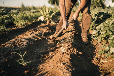 Männlicher Landwirt, der an einem sonnigen Tag ein Feld mit einer Schaufel umgräbt - GRCF00834