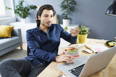 Geschäftsmann isst zu Mittag, während er zu Hause am Laptop arbeitet - BSZF01880
