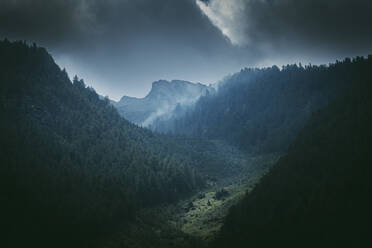 Bewaldetes Bergtal in der Abenddämmerung - SIPF02327