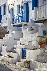 Ein Haufen Katzen, die in der Altstadt von Chora auf der Insel Folegandros herumhängen, Kykladen, Griechische Inseln, Griechenland, Europa - RHPLF20784