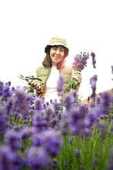 Lächelnde Frau mit Hut, die Lavendelblüten und eine Gartenschere hält - AJOF01596