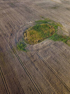Luftaufnahme eines kleinen grünen Flecks auf einem riesigen Feld auf dem Land - KNTF06362