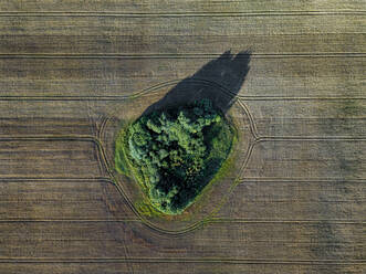 Aerial view of small patch of green left on vast countryside field - KNTF06365