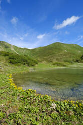 Shore of Schlappoldsee lake - WIF04424