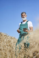 Männlicher Landwirt mit digitalem Tablet in einem Weizenfeld an einem sonnigen Tag - KIJF04115