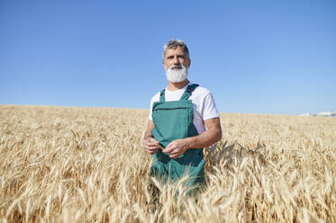 Reifer männlicher Landwirt inmitten von Weizenfeldern an einem sonnigen Tag - KIJF04121